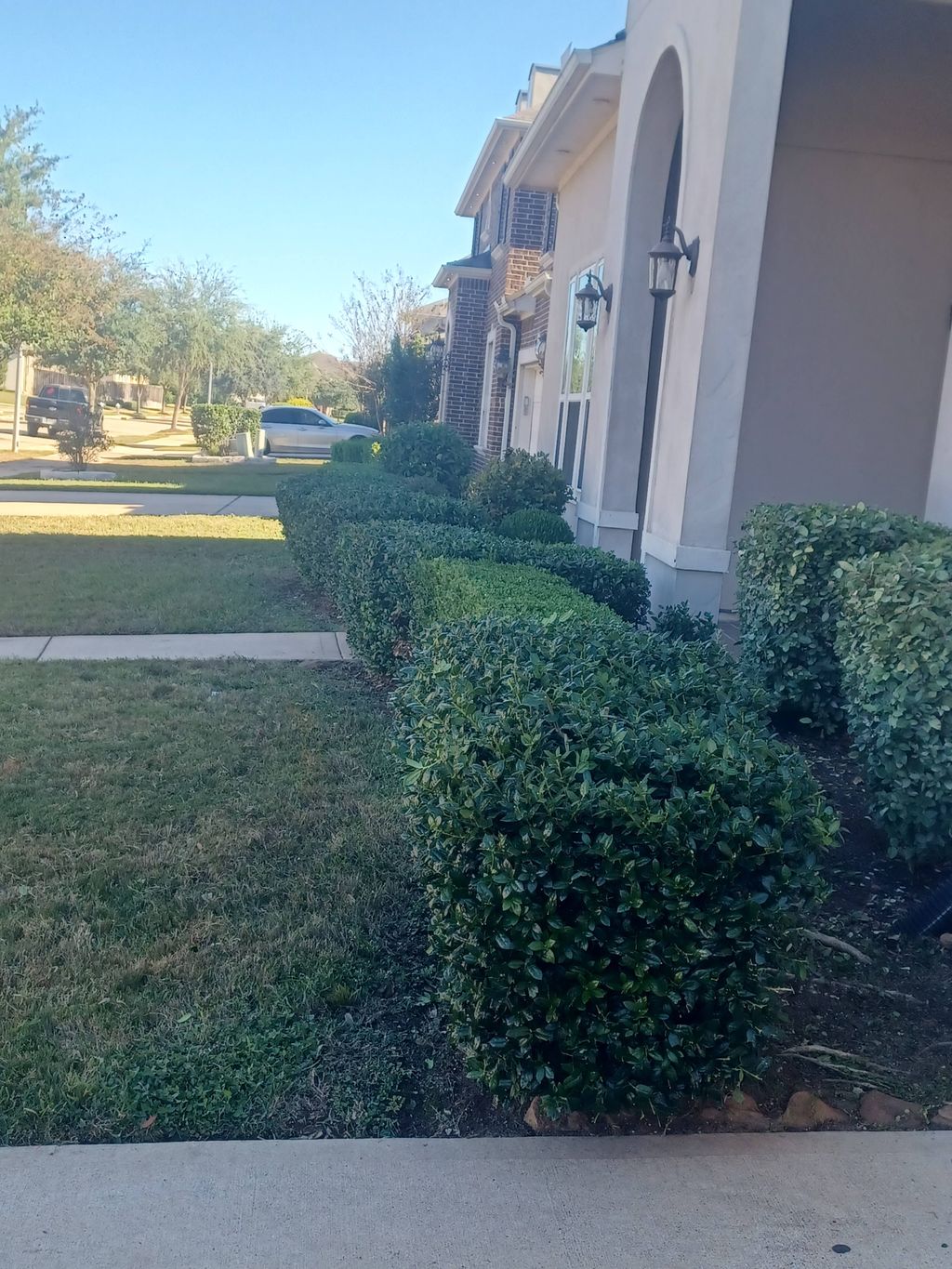 right side Bushes trimming after. 