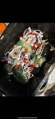 Avatar for Pavel  Handyman