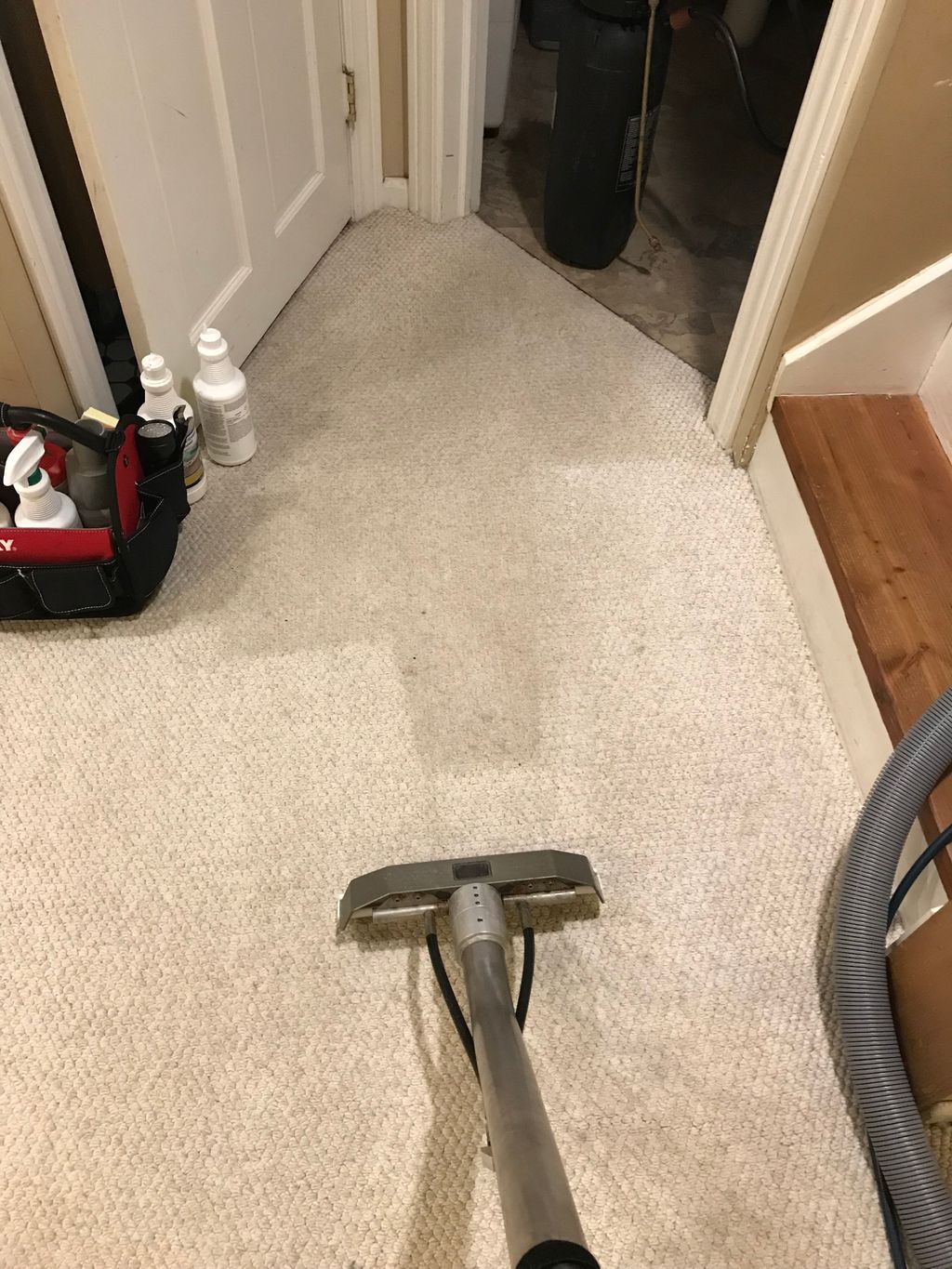 Carpet Cleaning Home Services