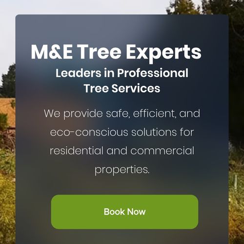 M&E Tree Experts