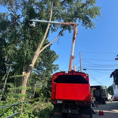 Avatar for L&T TREE SERVICES INC