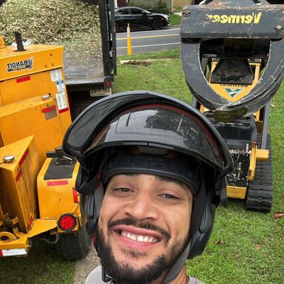 Avatar for RJ Tree Expert LLC