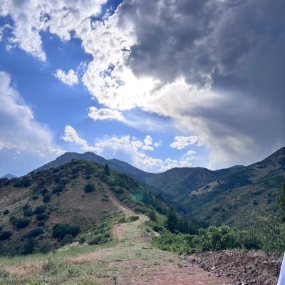 Avatar for SPECKLA Services