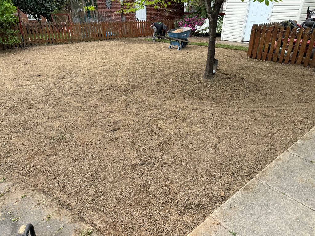 sod installation 
