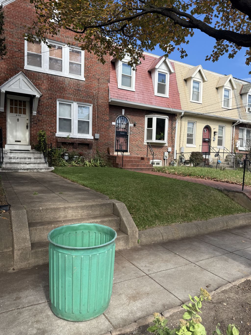 leaf and mowing services 