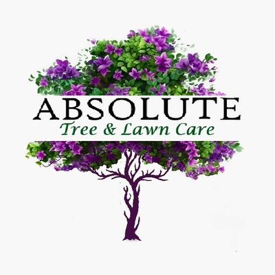 Avatar for Absolute Tree and Lawn care