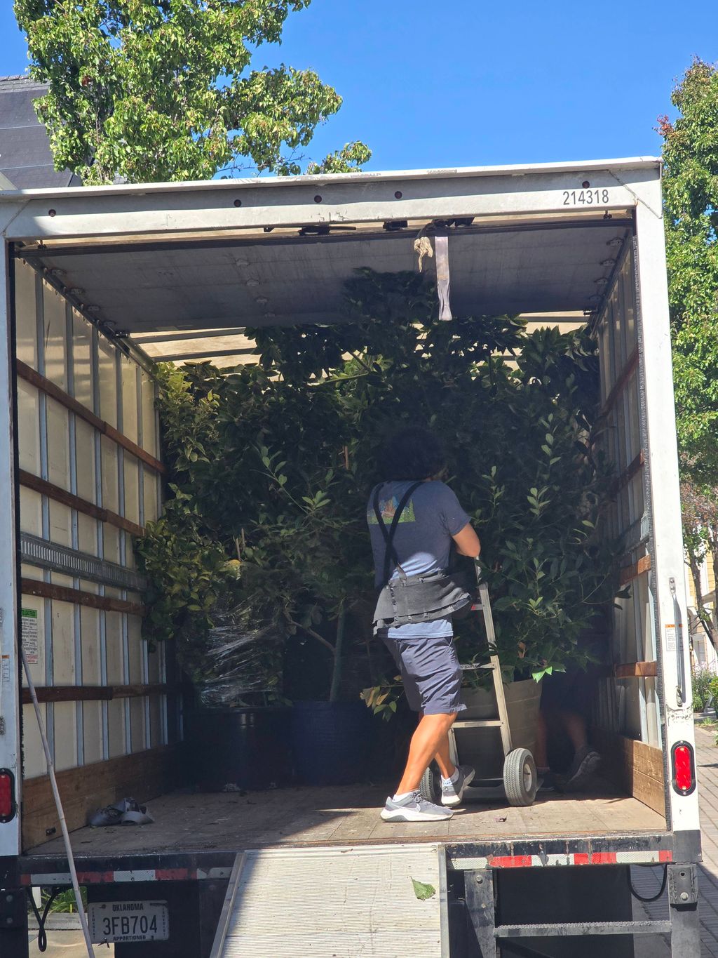 Live plants on Board safe and secure 