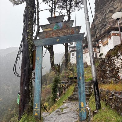 Avatar for Trillium Cleaning LLC