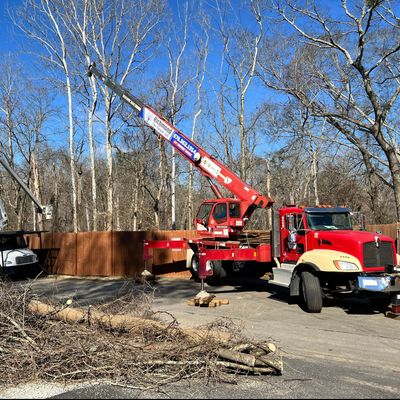 Avatar for Richmond Tree Experts GA