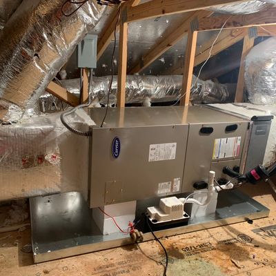 Avatar for Jordan Mcdonald