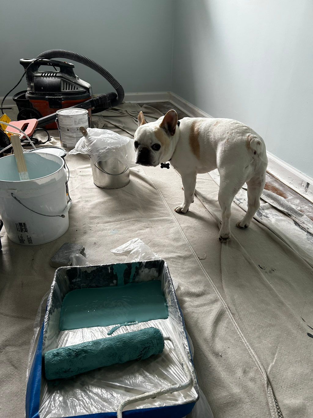 Some of our best friends/helpers coming to say hi 