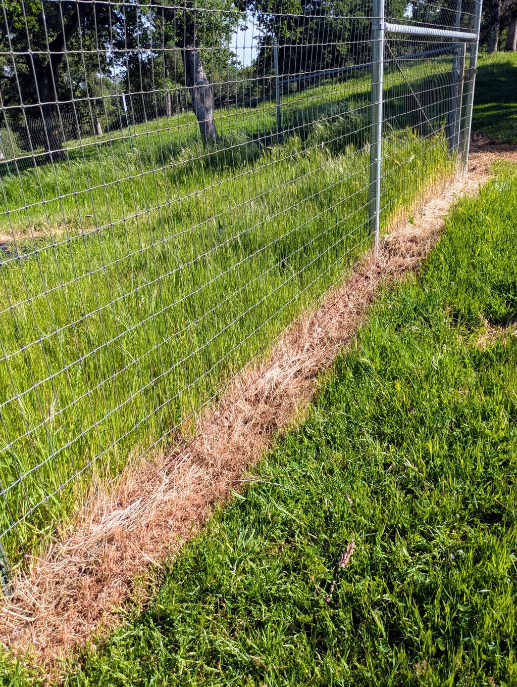 Got weeds growing along your fenceline? Steam weed
