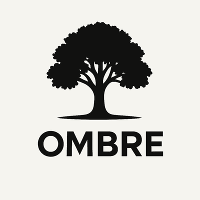 Avatar for Ombre IT Consulting