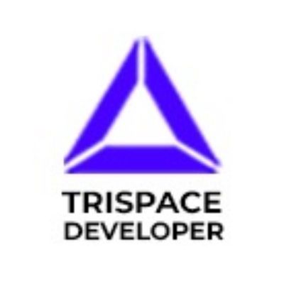 Avatar for Trispace Developer