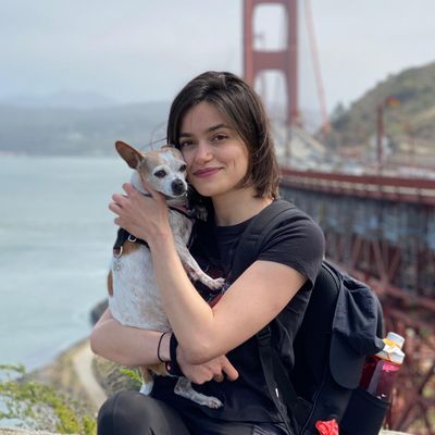 Avatar for Walks with Ami