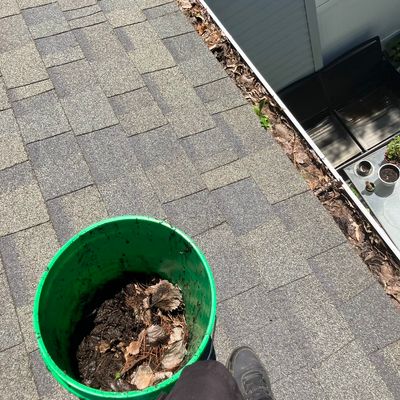 Avatar for Kory Knouse