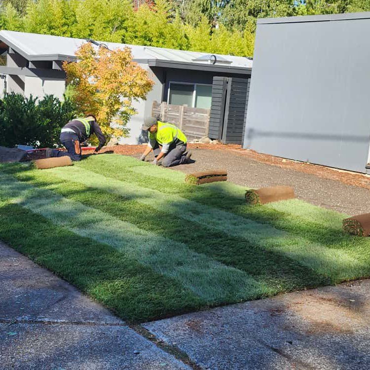 Diaz’s Landscaping🌿