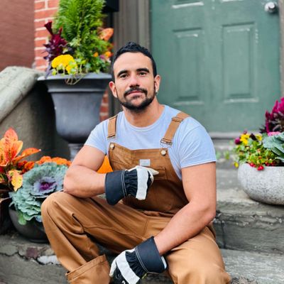 Avatar for Hibiscus Planters