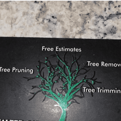 Avatar for WALTER TREE SERVICE