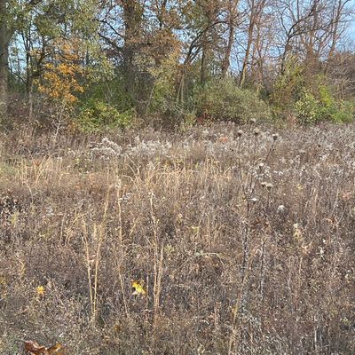 Avatar for K&A junk removal & dumpster rental