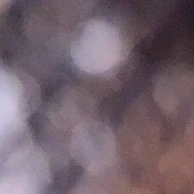 Avatar for Dave Stanley Paving