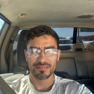 Avatar for V.G  gardening