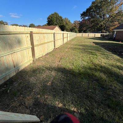 Avatar for Miranda services