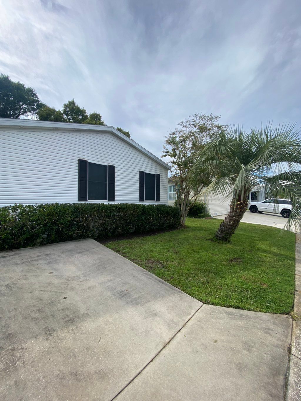 Plant city, hedge trimming and palm