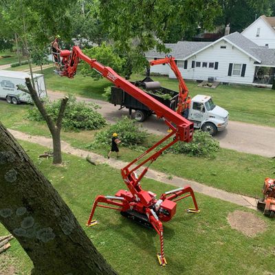 Avatar for Top Notch Tree Care