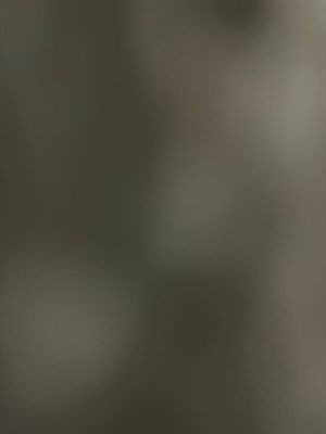 Avatar for Alpha 24 Plumbing Services