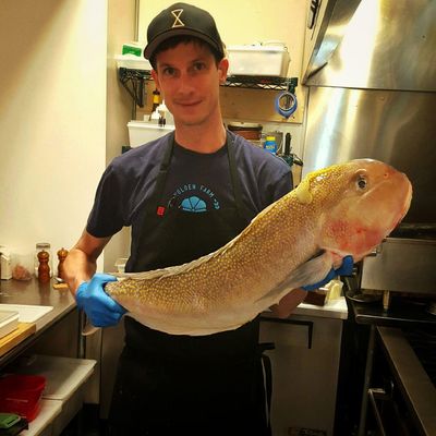 Avatar for Chef Noble