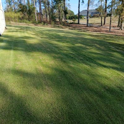 Avatar for Tyrone JOHNSON