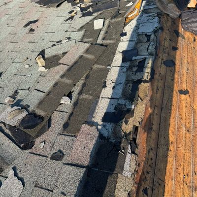 Avatar for Dylan construction llc