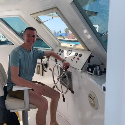 Avatar for Happy Christmas Lights