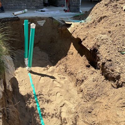 Avatar for Big Dog Rooter