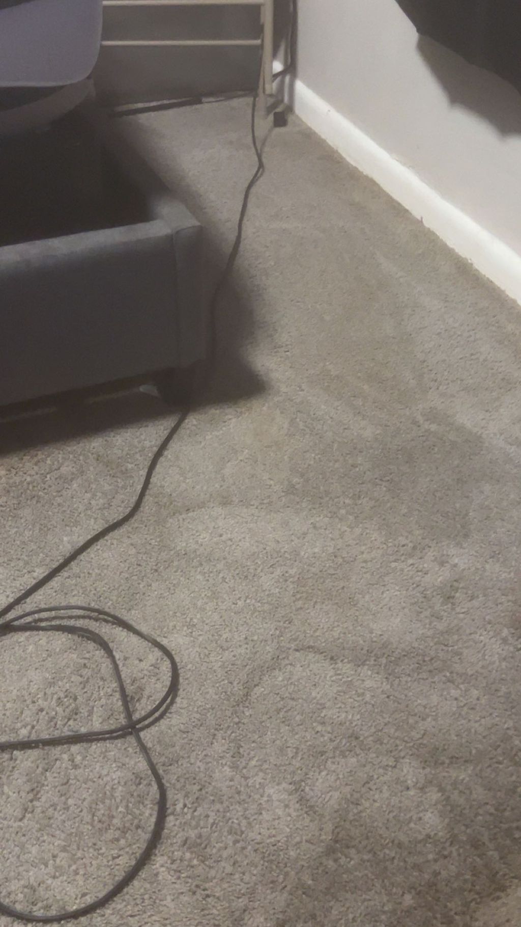 Personal home carpet cleaning 