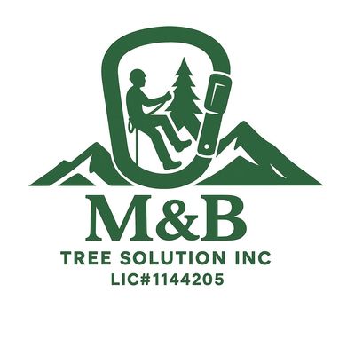 Avatar for M&B TREE SOLUTION