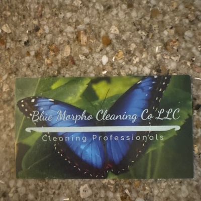 Avatar for Blue Morpho Cleaning Co