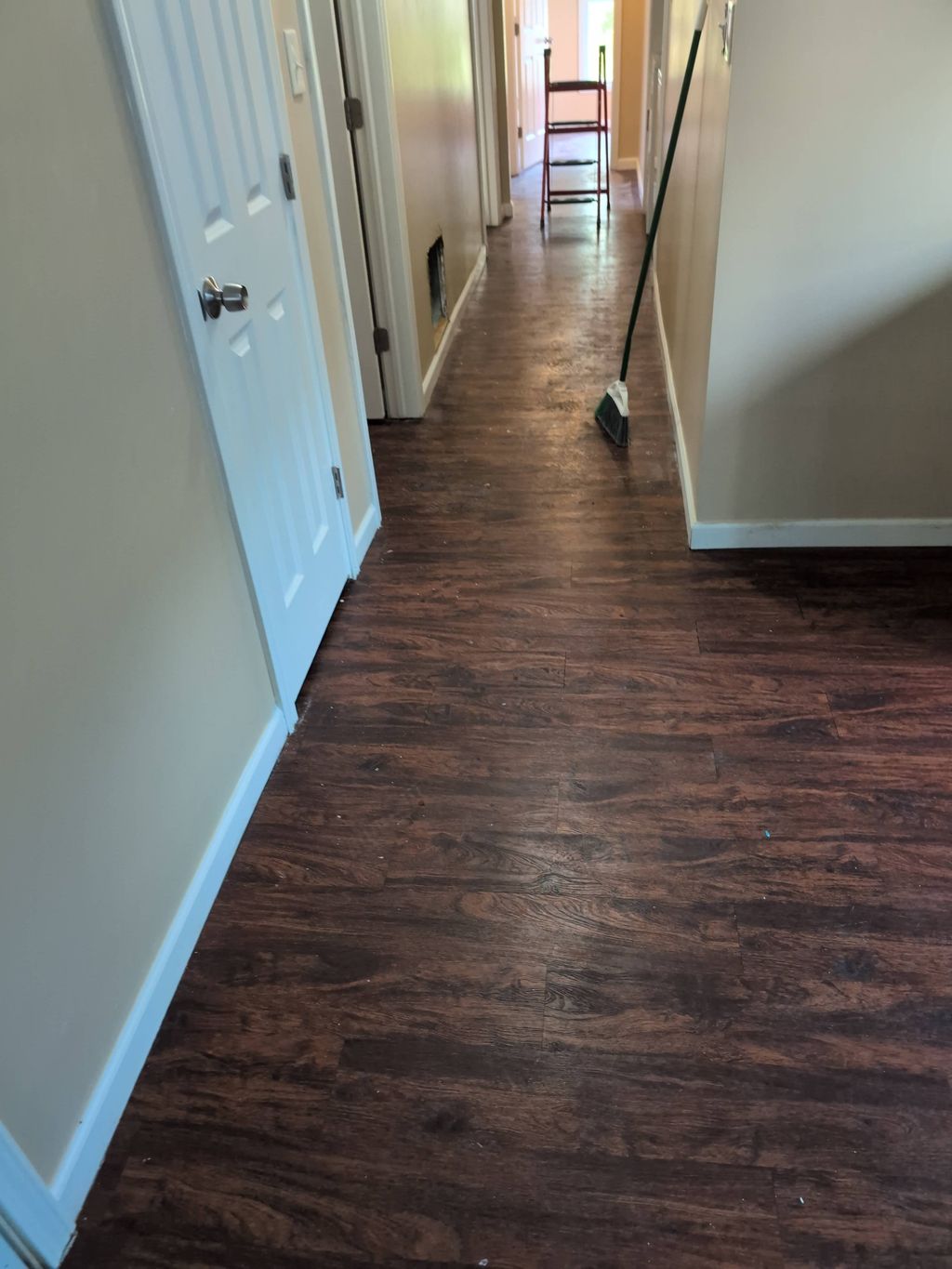 Apartment cleanup and repainted 