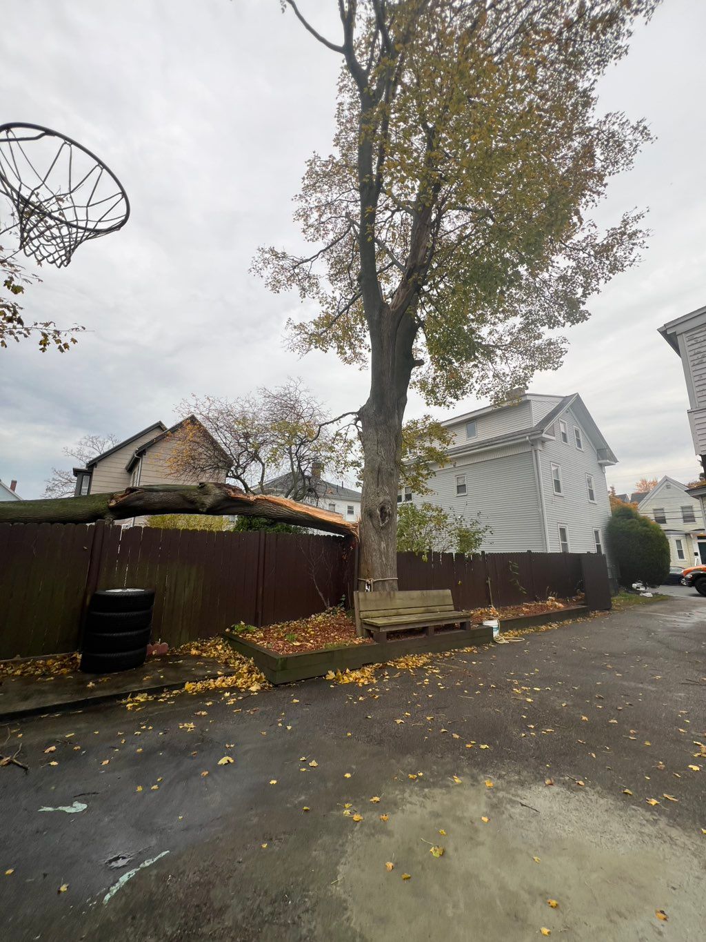 One of customers give a call for take dawn this bi