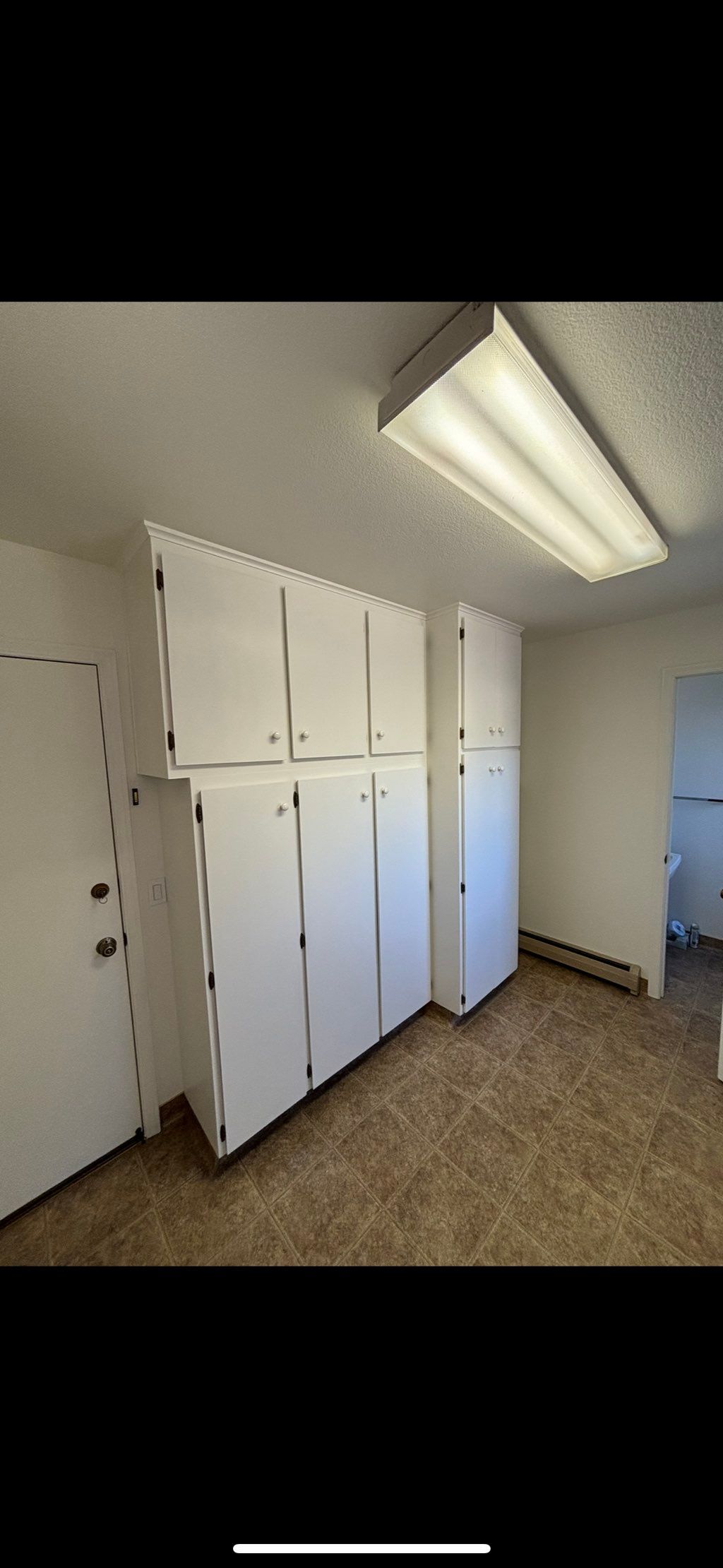 Painted ceiling, walls, cabinets, door, and trim 