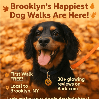 Avatar for Dog Dash NYC