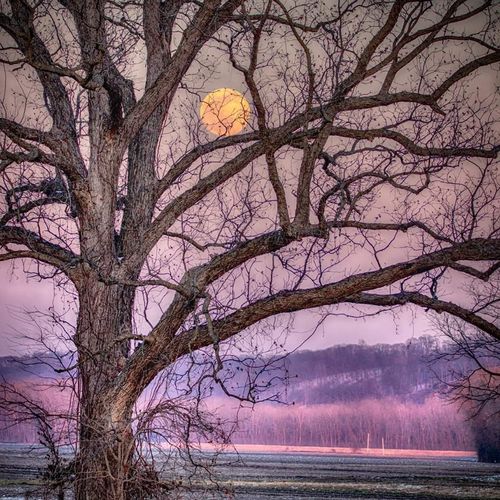 Russell Electric LLC