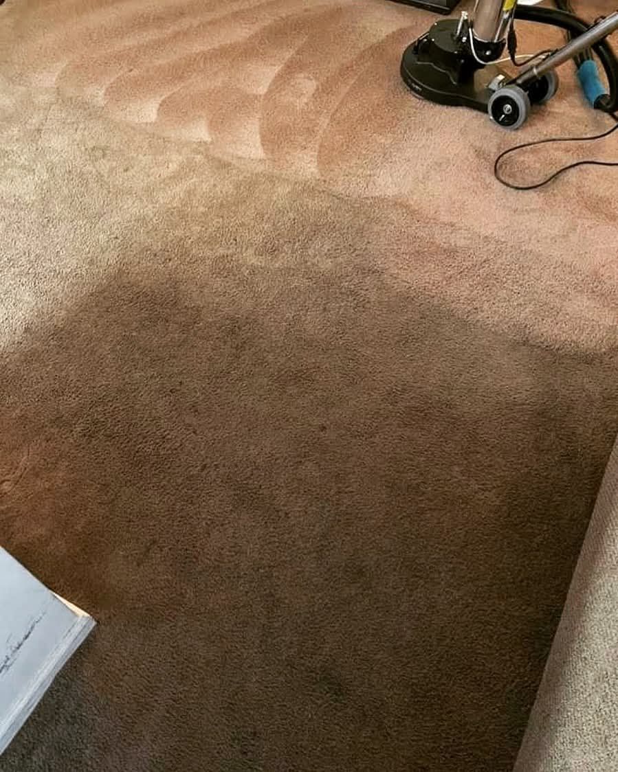 BEFORE AND AFTER CARPET CLEANING
