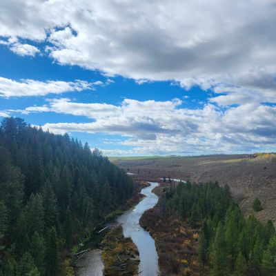 Avatar for Reliable Helping Hand