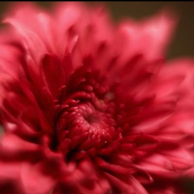 Avatar for Guided Wellness