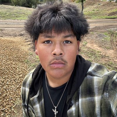 Avatar for WB Gardening And Landscaping