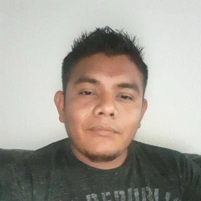 Avatar for Maxy pro painting inc