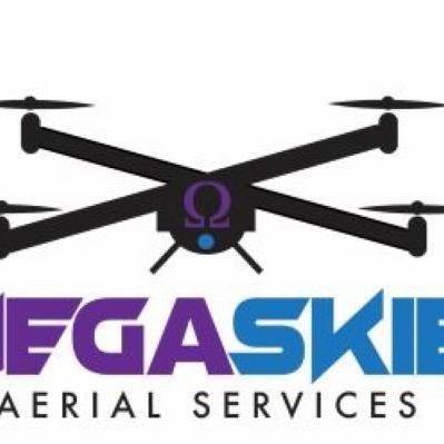 Avatar for OmegaSkies LLC Aerial Services