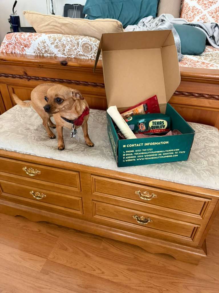 Ms. Rubby is happy with her dog treats.